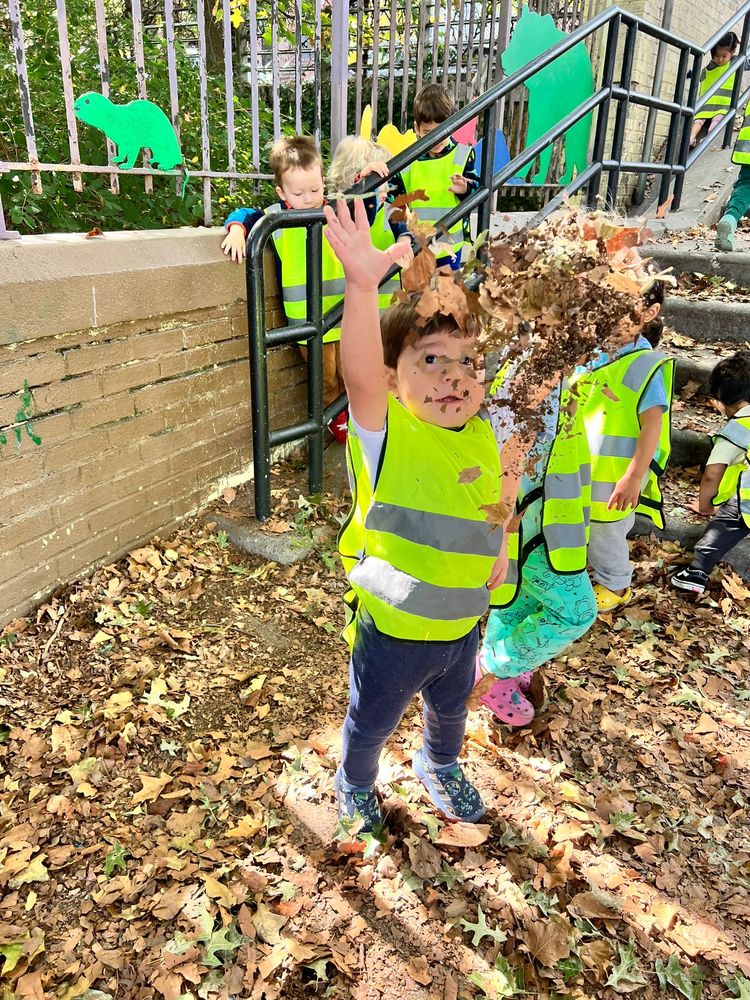 Honeydew Drop Park Slope Infants to 3K Programs - childcare center in Brooklyn, NY