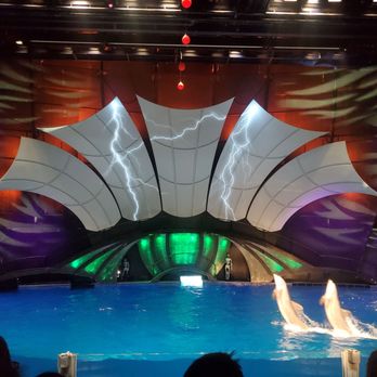 Georgia Aquarium - Dolphins! - Aquariums Near Me - Atlanta, Georgia