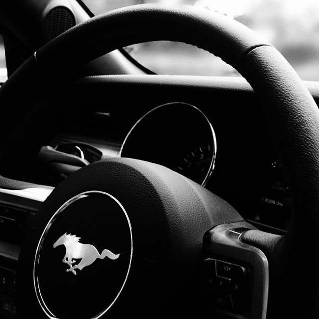 OSSEO FORD Updated June 2024 15 Photos 50825 Spruce Rd, Osseo