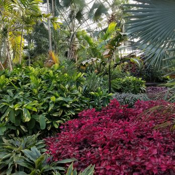 Garfield Park Conservatory - Parks Near Me - Chicago, Illinois