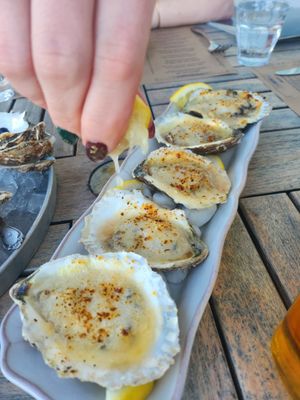 Minnow At The Galley Ho by null