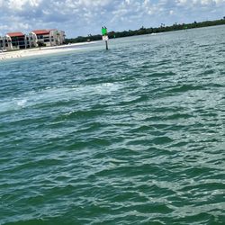Encounter With Dolphins - Manatee spotting
