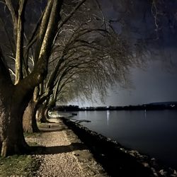 Rhein