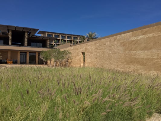 JW Marriott Los Cabos Beach Resort & Spa by null