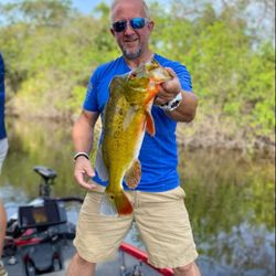 PJ’s 7 Seas Bait & Tackle - Live shiners make happy customers