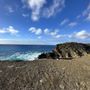 Paradise Hawaii Tours - Honolulu Airport Transfer