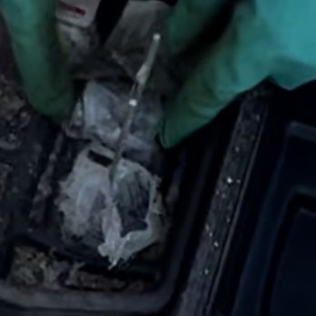Orkin - Justin refused to change out and replace with fresh bait after it's been sitting for over 3 years claiming it's still good - Pest Control Near Me - Stockton, California