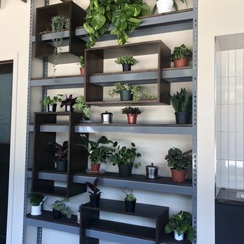 Sip House - Love the plant aesthetic - Coffee & Tea Near Me - Seattle, Washington Sip House - Love the plant aesthetic - Coffee & Tea Near Me - Seattle, Washington