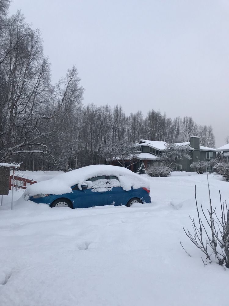 AAA Customer Services - property management company in Anchorage, AK