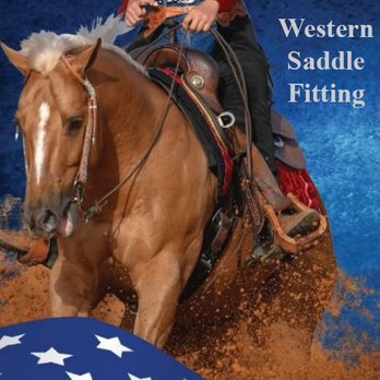 The Right Fit Equine - Western saddle fitting for horses - Horseback Riding Near Me