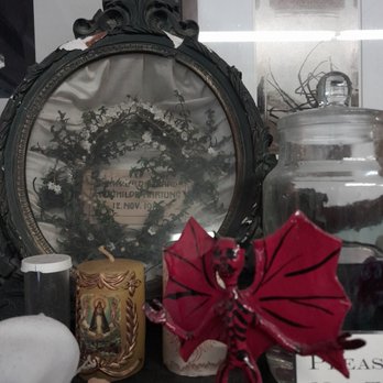 Industry City - Morbid anatomy museum - Venues & Event Spaces Near Me - Brooklyn, New York