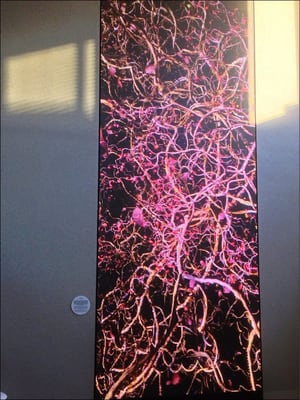 QT Gold Coast by null