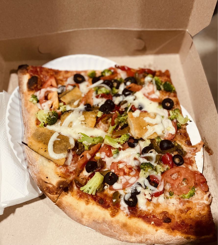 The Nauti Dolphin The Nauti Dolphin