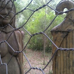 Bosc de Can Ginebreda