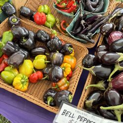 Hunterdon Land Trust Farmer's Market - bell peppers