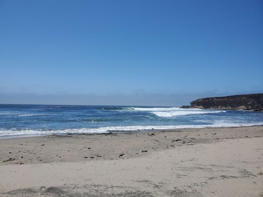 Four Mile Beach by null