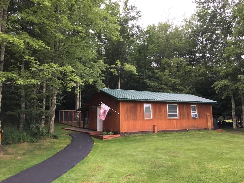 GOLDEN DELIGHT KENNELS Updated September 2024 780 Benton Hollow Rd