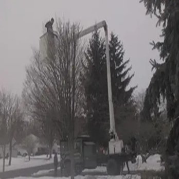 Becker's Tree Service - Snow Removal Near Me - Tinton Falls, New Jersey Becker's Tree Service - Snow Removal Near Me - Tinton Falls, New Jersey