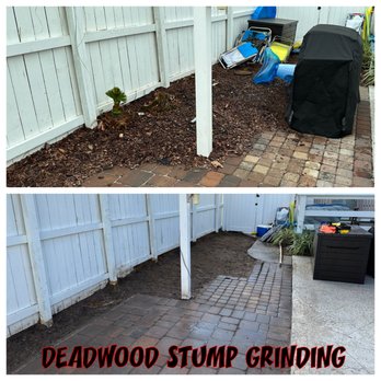 Deadwood Stump Grinding - Excavation Services Near Me - Navarre, Florida Deadwood Stump Grinding - Excavation Services Near Me - Navarre, Florida