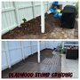 Photo of Deadwood Stump Grinding