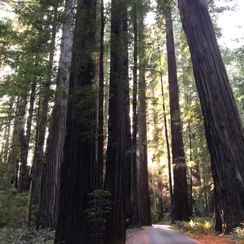 Humboldt Redwoods State Park - Entrance to Albee Creek Campground - Parks Near Me - Weott, California Humboldt Redwoods State Park - Entrance to Albee Creek Campground - Parks Near Me - Weott, California