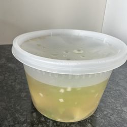 Thai House Restaurant - Almost $8.00 for less than a pint of soup