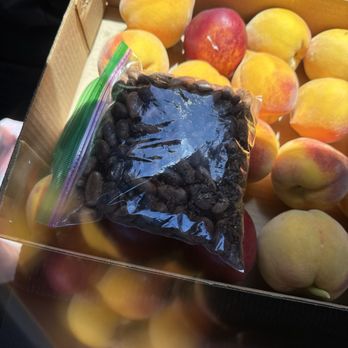 Rancho Zaragoza - Peaches and cacao pods! - Farmers Market Near Me - Brentwood, California