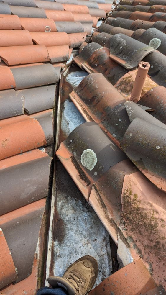 Slide of LTR Handyman