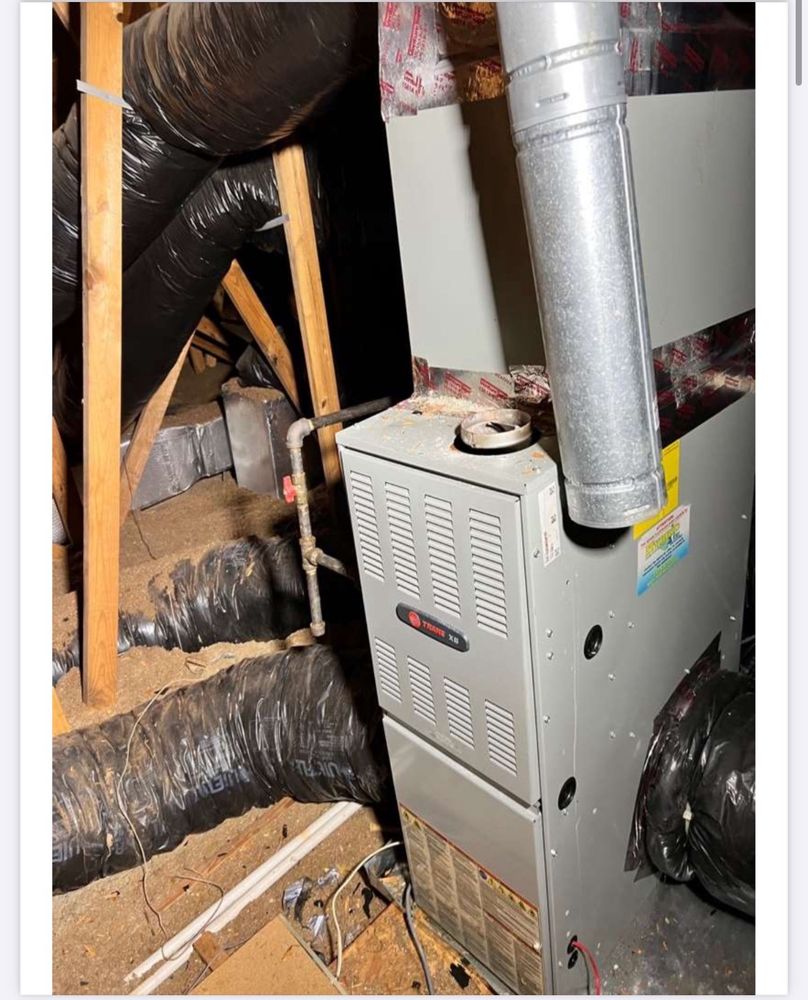 The Brickkicker Of Hampton Roads - mold inspector in Norfolk, VA