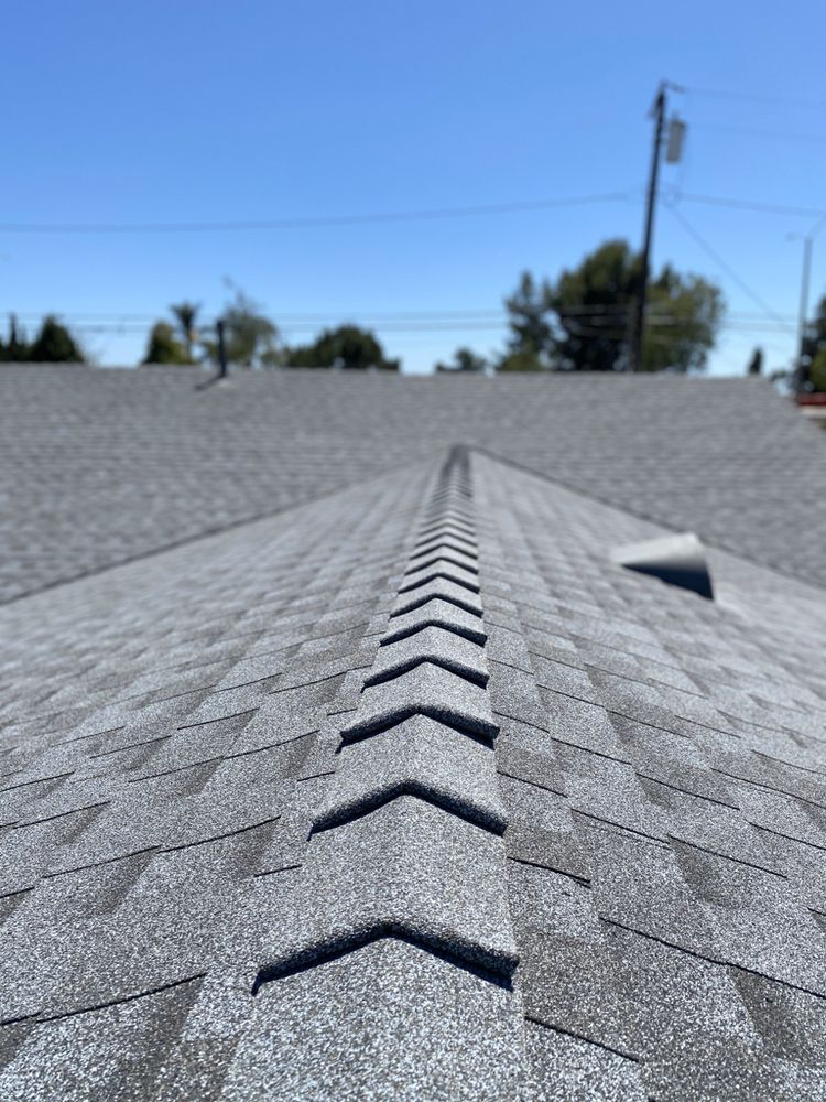 Slide of The Roofing Lady