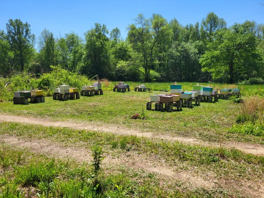 Food from Honey Hole Industries