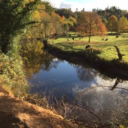 Belvoir Forest Park