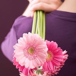 Hutcheon's Florist & Flower Delivery - We know you have high expectations for your floral gifts as these gifts reflect upon you.