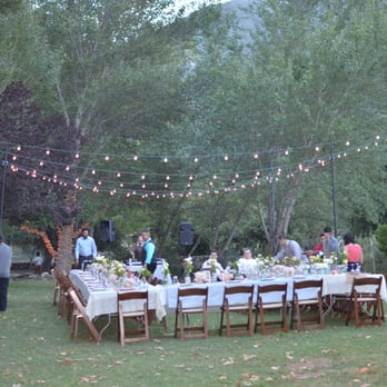 Brite Star Lighting - Bistro lighting above and lit trees in the background. This is a picture from a friend. Will post professional pictures soon! - Lighting Fixtures & Equipment Near Me - Ventura, California