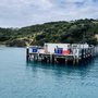 Photo of Matiatia Wharf