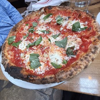 Prato - Margherita Pizza - Pizza Near Me - Winter Park, Florida Prato - Margherita Pizza - Pizza Near Me - Winter Park, Florida