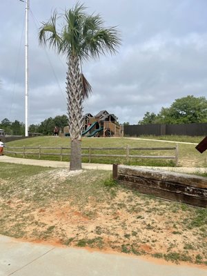 Alabama Gulf Coast Zoo by null