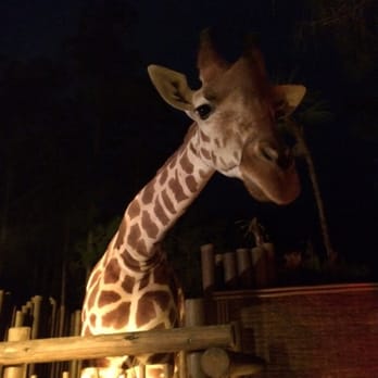 NGALA Wildlife Preserve - Venues & Event Spaces Near Me - Naples, Florida NGALA Wildlife Preserve - Venues & Event Spaces Near Me - Naples, Florida