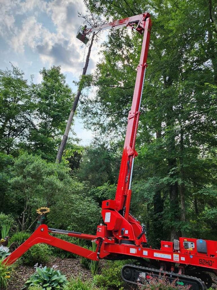 Combs Tree Service - tree service in Charlotte, NC