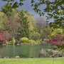 Sycamore Hill Gardens