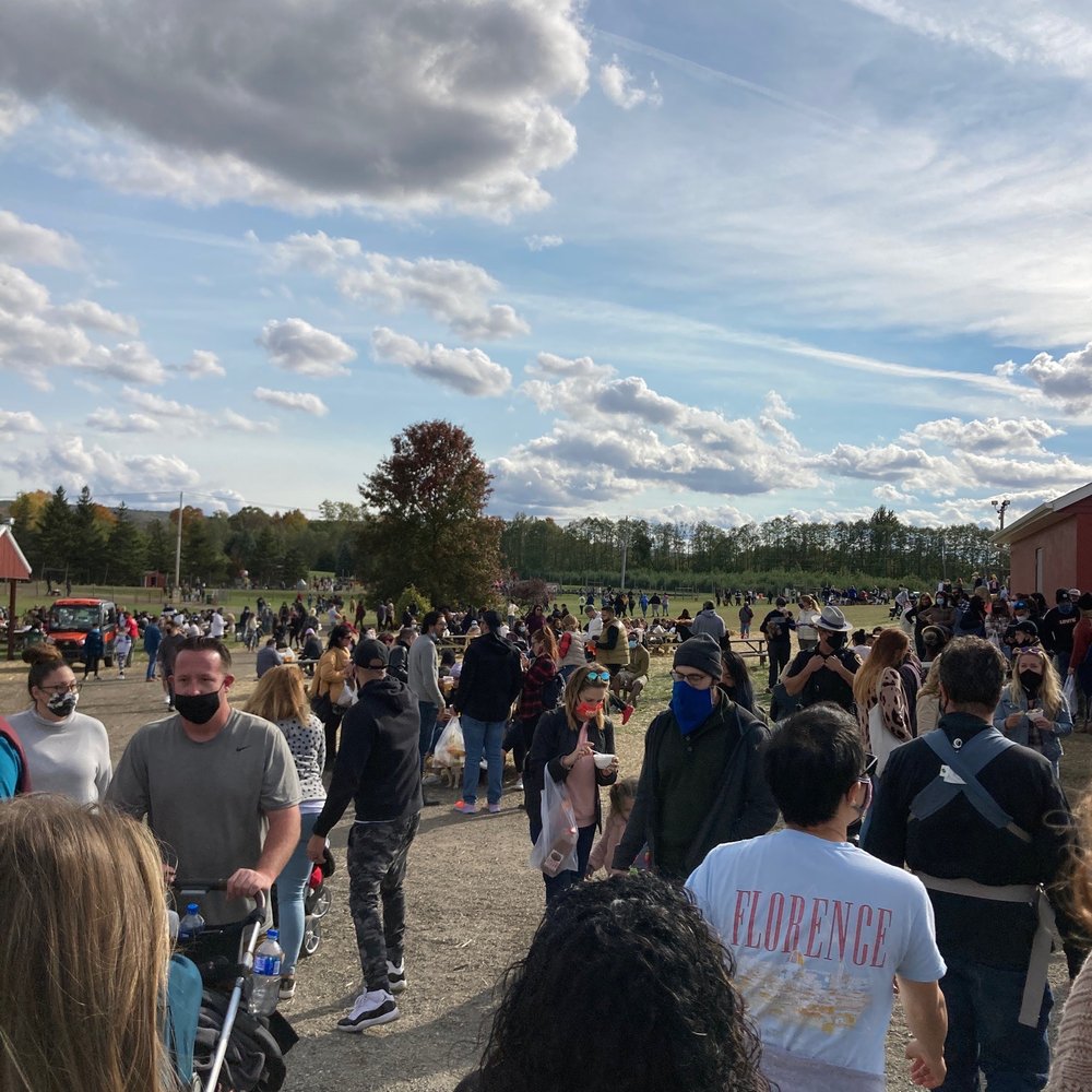 Barton Orchards - Gross. - Farmers Market Near Me - Poughquag, New York