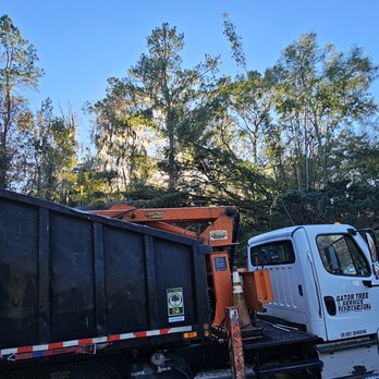 Gator Tree Service - a garbage truck parked in a parking lot - Tree Services Near Me Gator Tree Service - a garbage truck parked in a parking lot - Tree Services Near Me