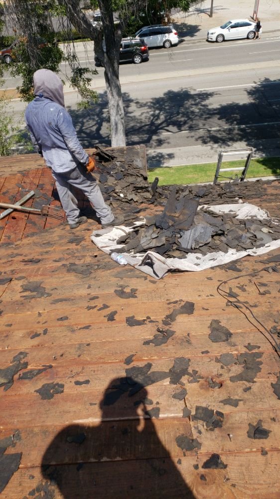 Slide of Alex's Hauling & Demo