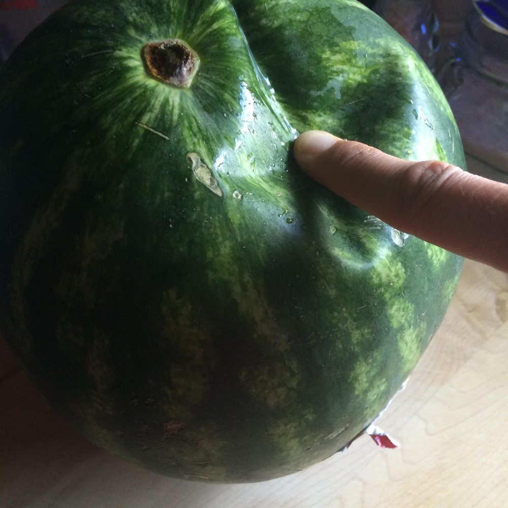 My watermelon I got from Safeway. My watermelon I got from Safeway.