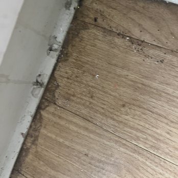 Inspect and Clean Commercial Cleaning Services - Another "clean" floor - Office Cleaning Near Me