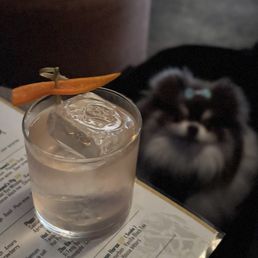 Hot & Sour: Tanqueray Gin w/ lichiko shochu, aloe, rose, hot pot paste, basil, citrus, peychaud's ($18)