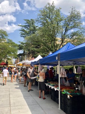 FRESHFARM Foggy Bottom Market by null
