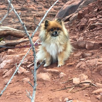 Cathedral Rock - Part of the trail is pet friendly - Hiking Near Me - Sedona, Arizona