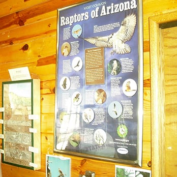 Mogollan Treatment Center - Part of the displays inside the center. - Visitor Centers Near Me - Payson, Arizona