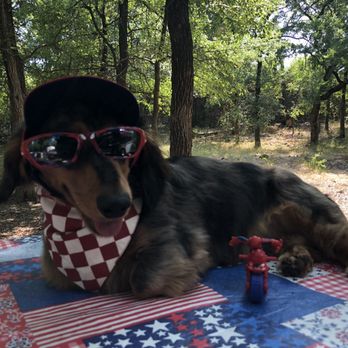 Dogologie - Pet Stores Near Me - Fredericksburg, Texas Dogologie - Pet Stores Near Me - Fredericksburg, Texas